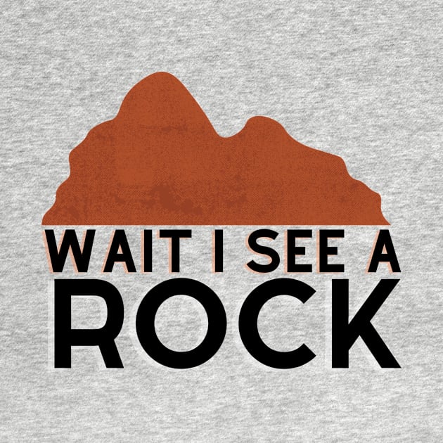 Wait I see a rock by GoodWills